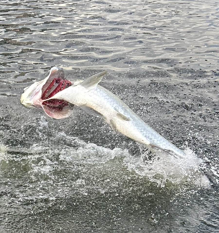 Fisherman with a catch aboard a boat in Miami