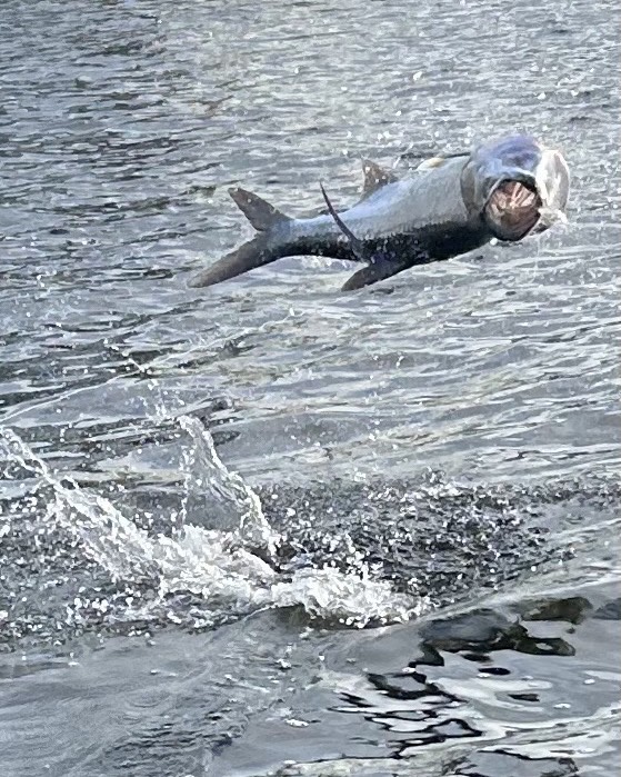 Angler showcasing a catch and a fishing pole on a charter