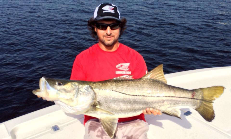 Detailed view of a catch on a sunny day in Miami