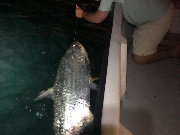 Group on a Lunkerdog fishing trip in Fort Lauderdale